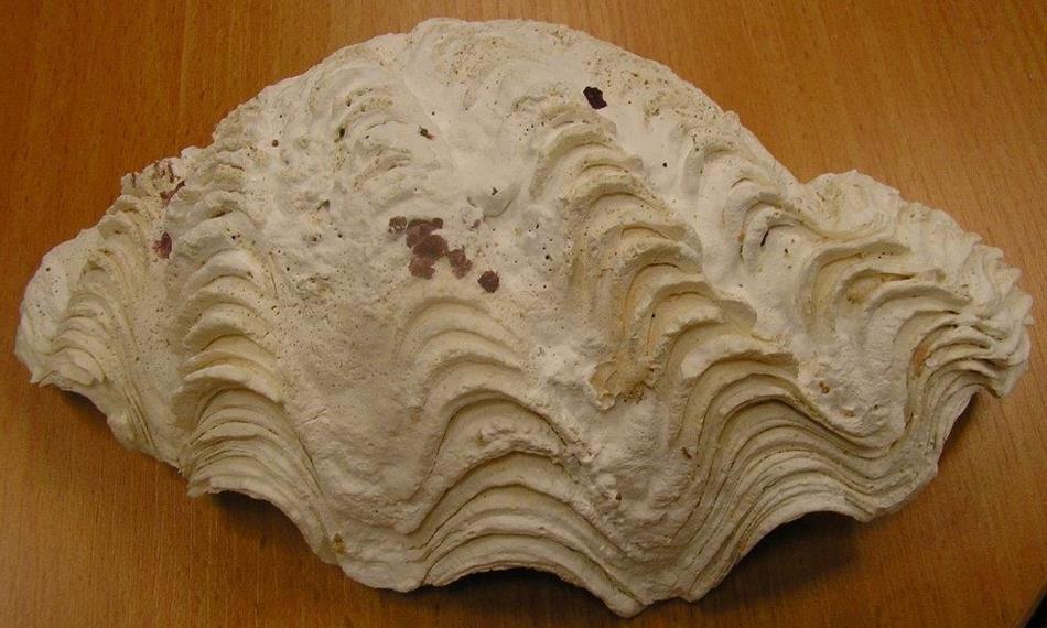 2016-6-28-817foto 1.jpg